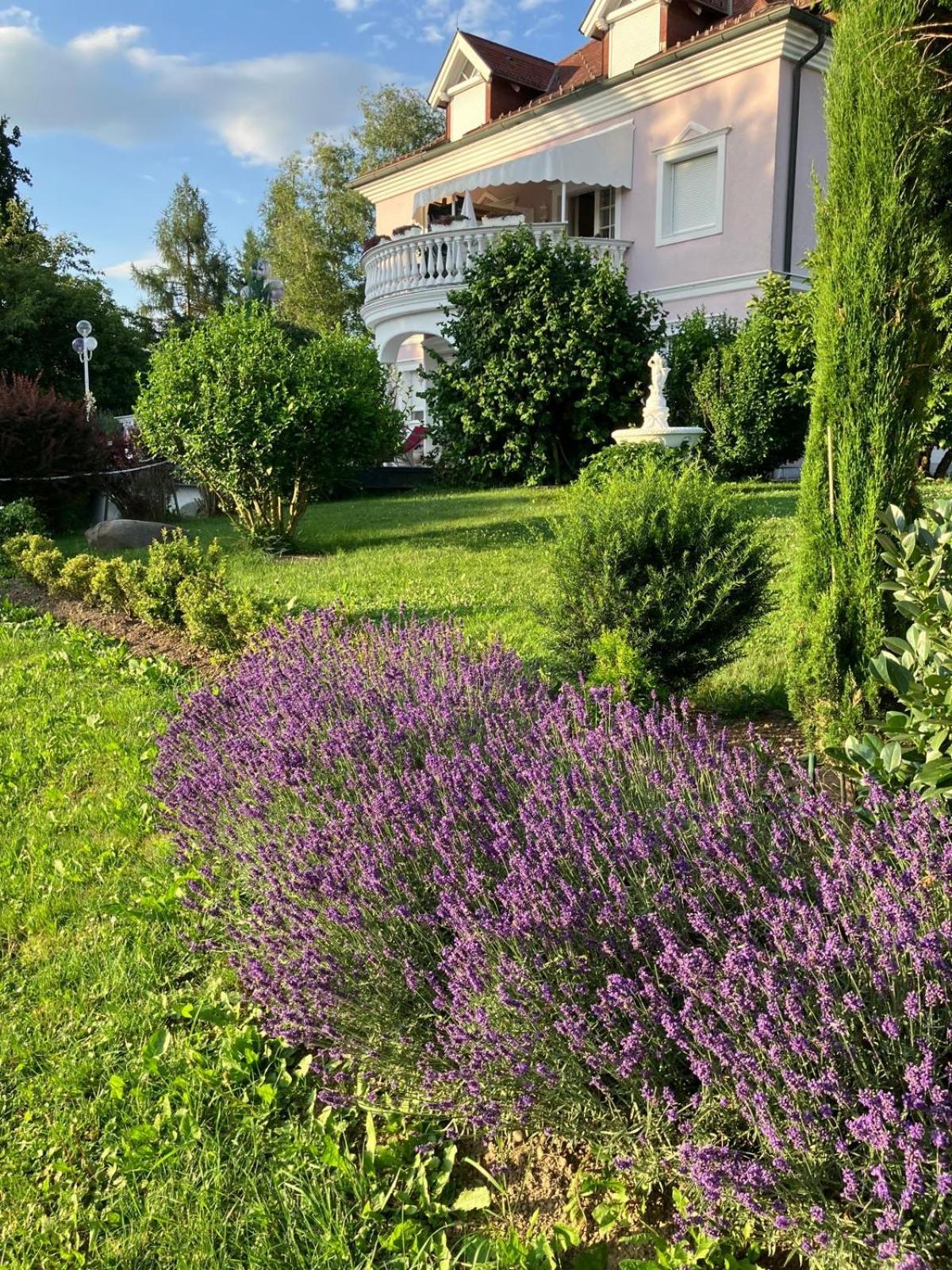 Villa Rose 상트칸지안 외부 사진